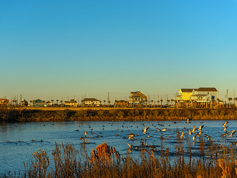 Audubon Shores community